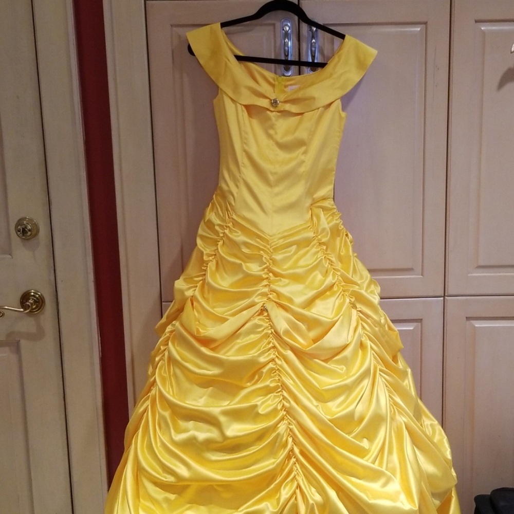 Beauty and the beast costume